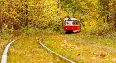Eski bir tramvayın geçtiği sonbahar ormanı (Ukrayna)
