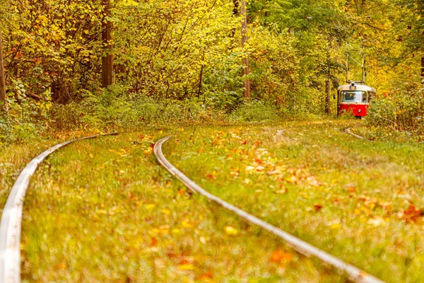 Floresta de outono através da qual um velho eléctrico passeios (Ucrânia ) — Fotografia de Stock