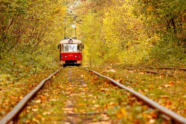 Eski bir tramvayın geçtiği sonbahar ormanı (Ukrayna)
