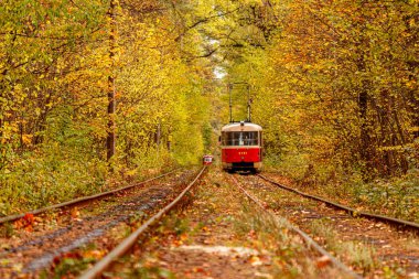 Eski bir tramvayın geçtiği sonbahar ormanı (Ukrayna)