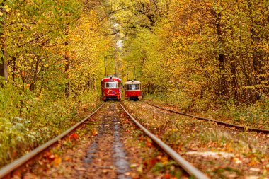 Eski bir tramvayın geçtiği sonbahar ormanı (Ukrayna)