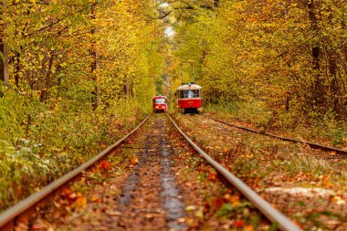Eski bir tramvayın geçtiği sonbahar ormanı (Ukrayna)