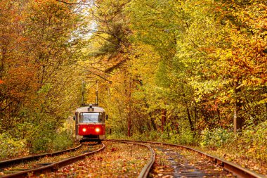 Eski bir tramvayın geçtiği sonbahar ormanı (Ukrayna)