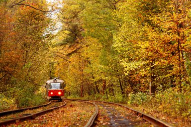 Eski bir tramvayın geçtiği sonbahar ormanı (Ukrayna)