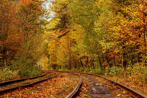 Forêt automnale traversée par un vieux tramway (Ukraine ) — Photo