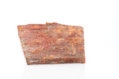 Makro taş mineral taşlaşmış ahşap beyaz arka planda yakın plan