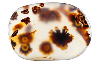 Makro mineral taşı Moss Agate, Muschiataan beyaz arka planı