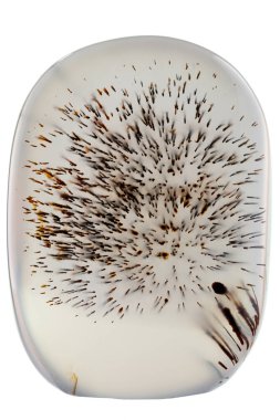 Makro mineral taşı Moss Agate, Muschiataan beyaz arka planı