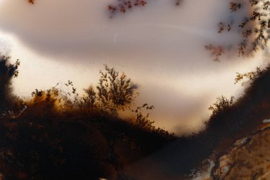 Makro mineral taşı Moss Agate, Muschiataan beyaz arka planı