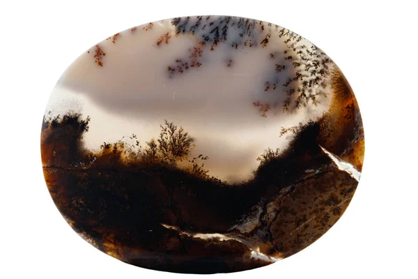 Macro Pierre Minérale Mousse Agate Agate Muschiataan Fond Blanc — Photo