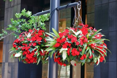 Nice çiçek sepeti iş ofis bölgesinde dekore