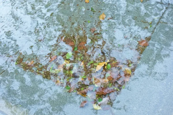 Zustand Der Fallenden Blätter Die Sich Auf Der Wasseroberfläche Spiegeln — Stockfoto