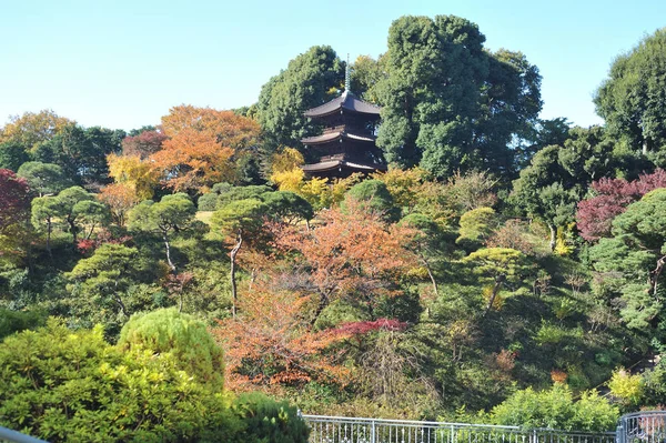 Una Magnífica Triple Pagoda Jardín —  Fotos de Stock