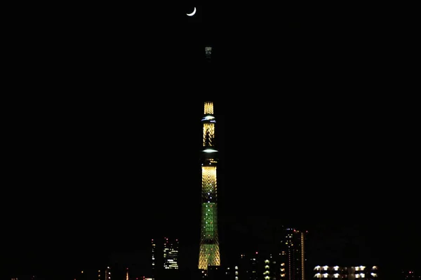 Symbol Turm Tokio Himmel Baum Nacht Ansicht — Stockfoto