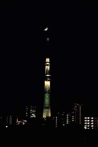 Symbol Turm Tokio Himmel Baum Nacht Ansicht — Stockfoto