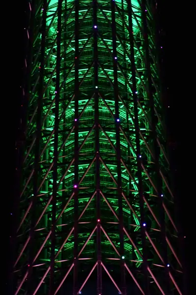 Nuevo Symbol Tower Tokyo Sky Tree Que Brilla Cielo Nocturno — Foto de Stock