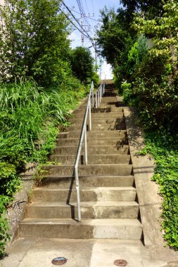 Banliyöler boyunca bir dizi ağaç                               