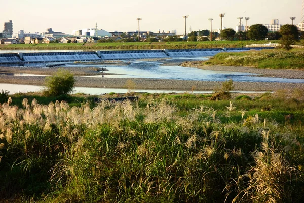 Хара Річки Тама Токіо — стокове фото