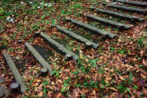 公園内の強化された階段 — ストック写真