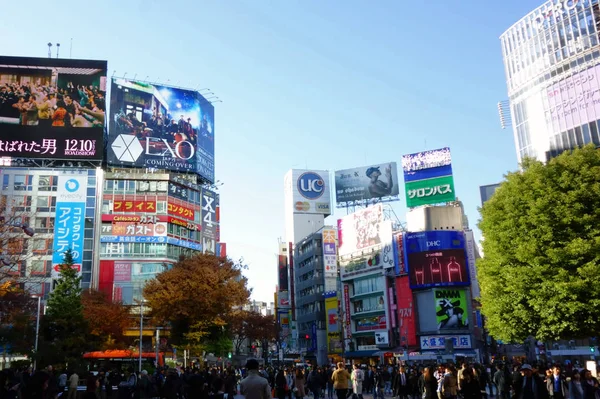 Alacakaranlık Shibuya Istasyonu Kesişme Noktası — Stok fotoğraf