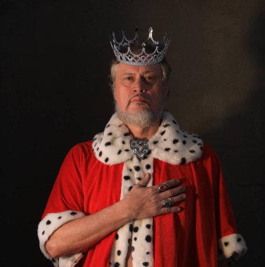  Sakallı bir ortaçağ kralının portresi