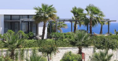 modern resort villas with palm trees and greenery