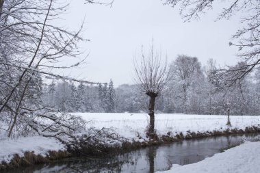 Kış kar ve ağaçlar bir nehir yansımaları ile mahallinde huzurlu orman