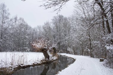 Kış kar ve ağaçlar bir nehir yansımaları ile mahallinde huzurlu orman