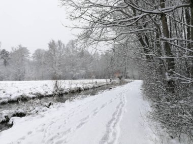 Kış kar ve ağaçlar bir nehir yansımaları ile mahallinde huzurlu orman