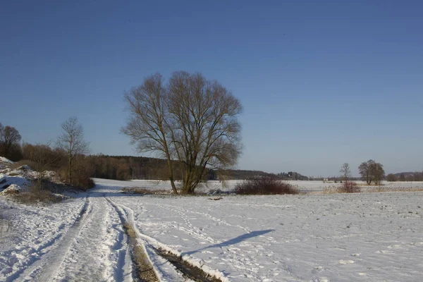 çayır kırsal alanda ağacında karlı toprak yol neden olabiliyor