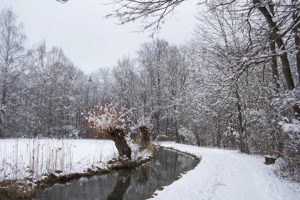 Kış kar ve ağaçlar bir nehir yansımaları ile mahallinde huzurlu orman