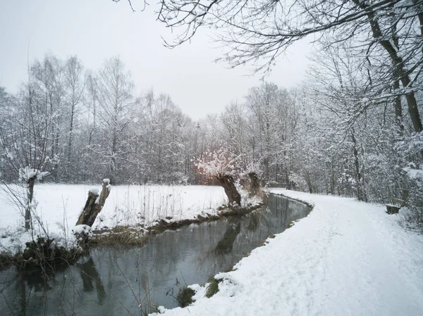 Cena Floresta Tranquila Inverno Com Neve Reflexos Das Árvores Rio — Fotografia de Stock