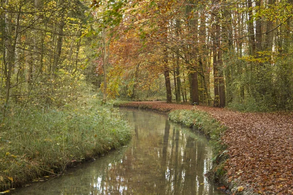 Sonbahar hiking trail akışı tarafından