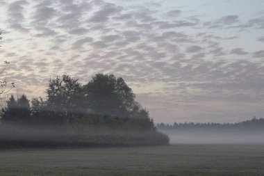 Muhteşem kırsal doğa manzara 