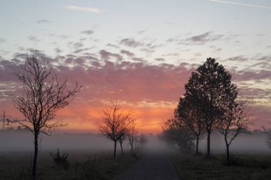 Sabah sis alan ve gündoğumu ile pembe gökyüzü üzerinde 