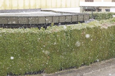 Eski binanın cephesine bakış, seçici odak