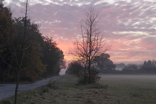 Πρωινή Ομίχλη Πάνω Από Πεδίο Και Ροζ Ουρανό Ανατολή Ηλίου — Φωτογραφία Αρχείου