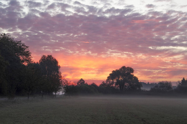 Morning mist over field and pink sky with sunrise 
