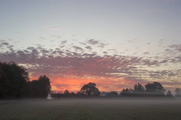Πρωινή Ομίχλη Πάνω Από Πεδίο Και Ροζ Ουρανό Ανατολή Ηλίου — Φωτογραφία Αρχείου