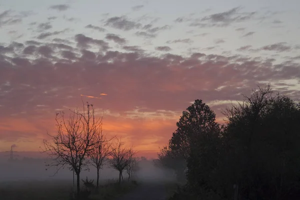 Niebla Mañana Sobre Campo Cielo Rosa Con Salida Del Sol — Foto de Stock