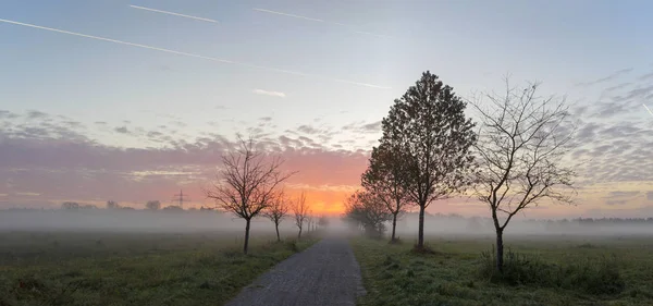 Morgennebel Über Feld Und Rosa Himmel Mit Sonnenaufgang — Stockfoto