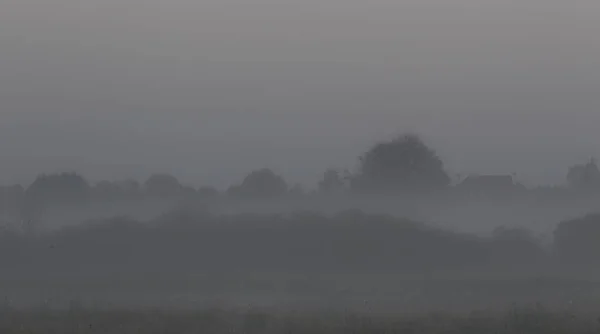 Niebla Gris Mañana Sobre Campo — Foto de Stock