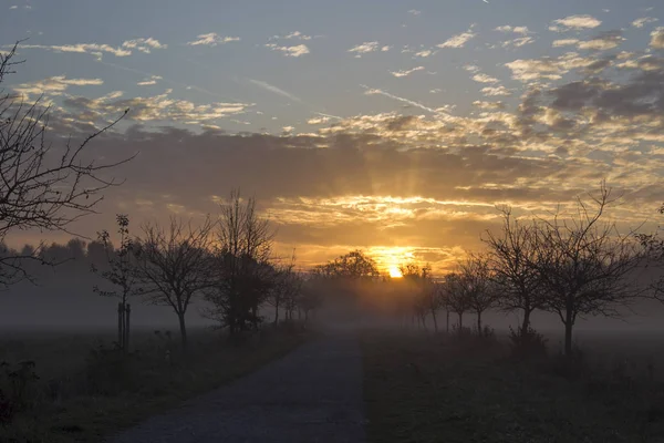 Πρωινή Ομίχλη Πάνω Από Χωράφι Και Δέντρα Επιλεκτική Εστίαση — Φωτογραφία Αρχείου