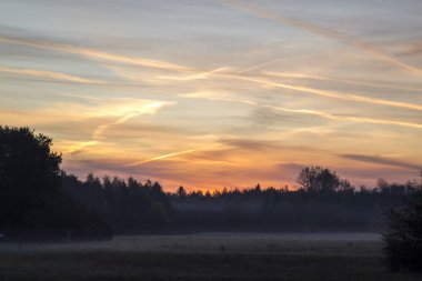 Şaşırtıcı doğal Tema. Doğa kavramı