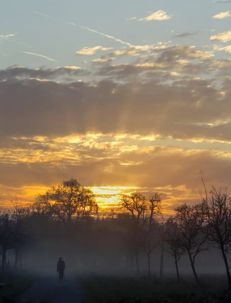Goldener Sonnenaufgang Himmel Und Männliche Silhouette Auf Nebligem Waldhintergrund — Stockfoto