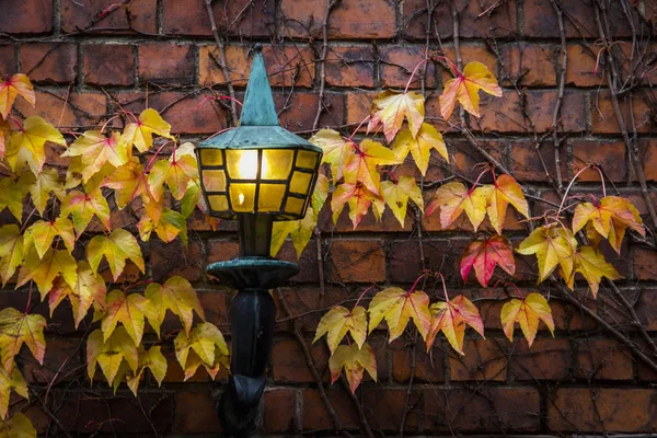 Lantern Autumn Leaves Brick Wall — Stock Photo, Image