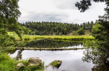 Muhteşem kırsal doğa manzara 
