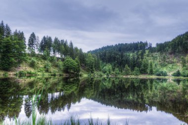 Muhteşem kırsal doğa manzara 