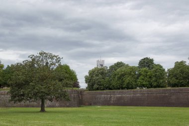 Ağaçlar ve kubbe kule ile İtalyan şehri Toskana'daki Lucca şehir duvar