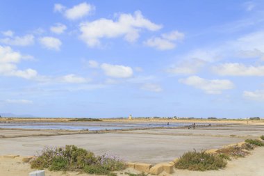 Muhteşem kırsal doğa manzara 